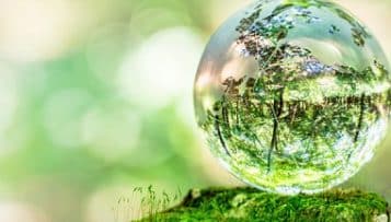 Christine Delhaye : « Nous avons recensé plus de 550 démarches d'Agenda 21 scolaires en France »