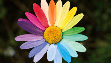 La lutte contre l'homophobie et les discriminations en milieu scolaire se poursuit