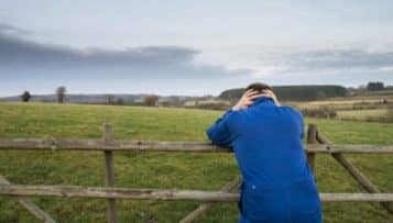 La MSA va mettre en œuvre un plan de prévention du suicide dans le monde agricole