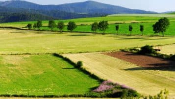 Terres agricoles périurbaines: les Safer appellent à éviter le "gaspillage"