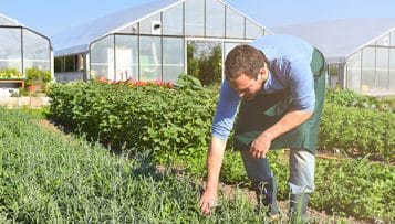 Grand Paris : il faut "préserver les espaces agricoles", selon Maurice Leroy