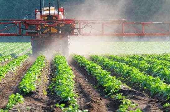 Réduire les pesticides nuit rarement à la productivité