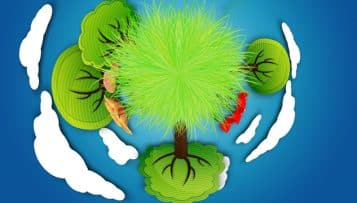 Le label du développement durable entre à l’École