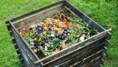 Les déchets alimentaires des ménages, du plomb à transformer en or vert