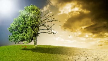 Élections municipales 2014 : les candidats notés sur leurs programmes énergie-climat