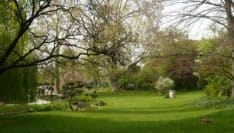 Ségolène Royal appelle les maires à renoncer aux pesticides dans les espaces verts