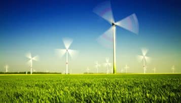 Éolien terrestre : le rapporteur public demande l'annulation du tarif bonifié