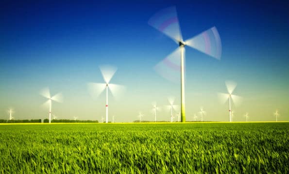 Éolien terrestre : le rapporteur public demande l'annulation du tarif bonifié
