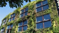 Développement durable et innovation architecturale: les HLM montrent leur savoir-faire