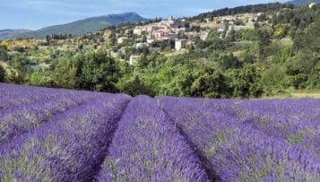 Les régions s'activent pour adopter les SRDEII