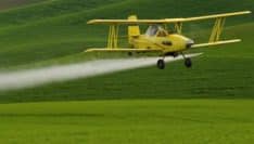 Vers la fin de l’épandage aérien de pesticides