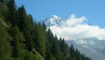 La forêt publique menacée par le projet de budget du gouvernement