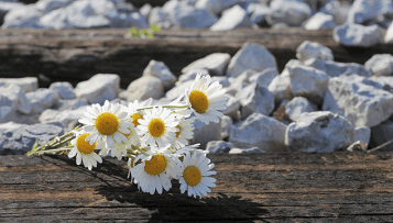 L'Observatoire national du suicide rend son premier rapport