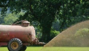 « Directive nitrates » : les collectivités doivent-elles supporter les amendes des arrêts rendus par la CJUE ?