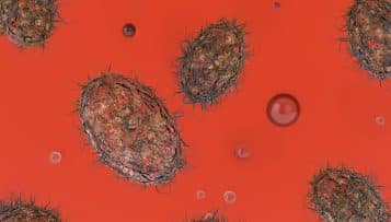 Déjà près de 200 cas de rougeole déclarés cette année, dont 150 en Alsace