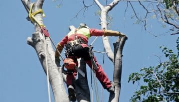 Gestion des accidents graves : responsabilités de l'employeur et bonnes pratiques