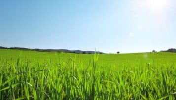 France Nature Environnement propose des idées pour lutter contre le changement climatique à l'échelon local