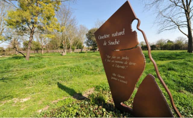 Premier « cimetière naturel » en France pour un repos éternel « écolo et pas cher »