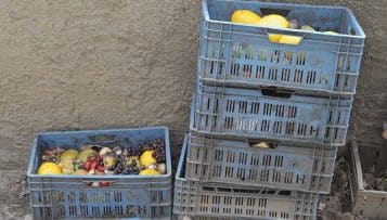 Gaspillage alimentaire