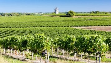 La Gironde, département le plus écologique de France