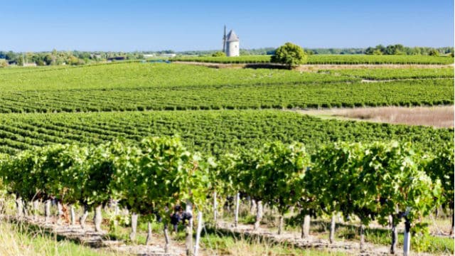 La Gironde, département le plus écologique de France