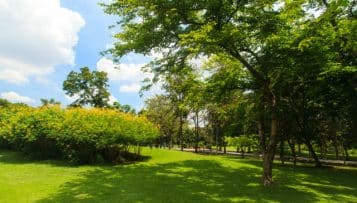 La ville idéale pourrait constituer seulement un modèle à adapter localement