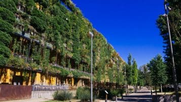 Les grandes villes, engagées pour la biodiversité végétale