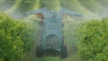 Gironde : bientôt un arrêté préfectoral pour mieux protéger les enfants des pesticides des vignes