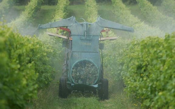 Gironde : bientôt un arrêté préfectoral pour mieux protéger les enfants des pesticides des vignes