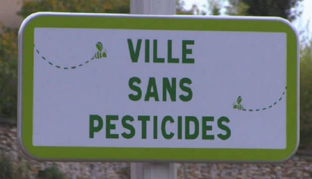 Pesticides : sans attendre 2017, des communes ont fait leur révolution verte