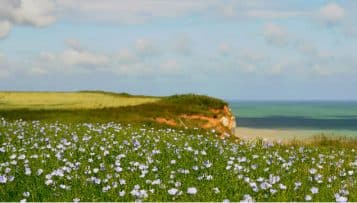 La Normandie se plonge dans l'intimité des Impressionnistes