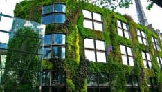 Parkings, végétalisation, logement : Paris modifie son plan local d'urbanisme