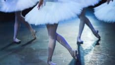 Publication de la loi "création", quels impacts pour les collectivités locales ?