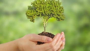 Nouveaux plans climat-air-énergie territoriaux : le dispositif juridique est en place