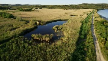 Préserver les zones humides : des bénéfices multiples pour les collectivités