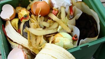 Paris a démarré la collecte séparée des déchets alimentaires chez les habitants