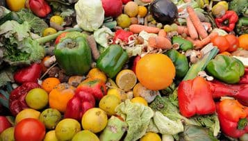 Signature du 2e Pacte national de lutte contre le gaspillage alimentaire