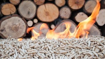 Chauffage urbain : la biomasse utilisée en Île de France