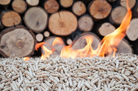 Chauffage urbain : la biomasse utilisée en Île de France