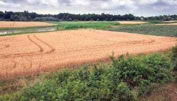 Cinq cents collectivités seront subventionnées pour créer un atlas de biodiversité