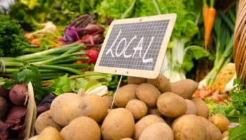 La Côte-d'Or achète des terres pour fournir en bio collèges et Ehpad