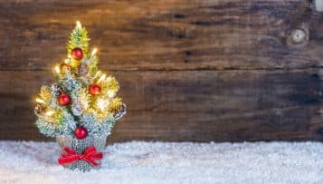 La prime de Noël, inchangée, sera versée la semaine du 18 décembre