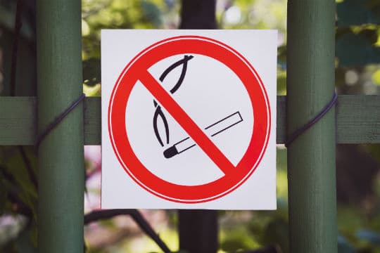 À Strasbourg, fumer dans les parcs sera interdit dès le 1er juillet
