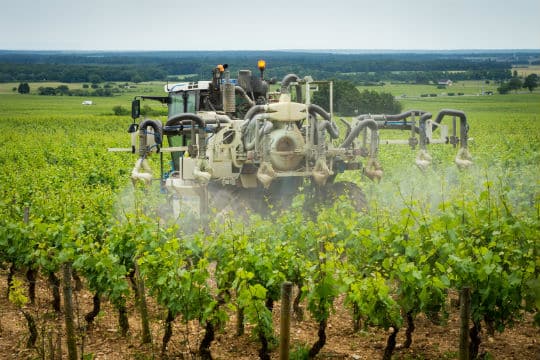 Pesticides : audit en Alsace et en Bretagne par un service de l'UE
