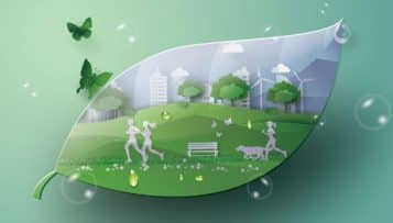 Réchauffement climatique : le WWF France appelle à une transformation profonde des modes de vie urbains