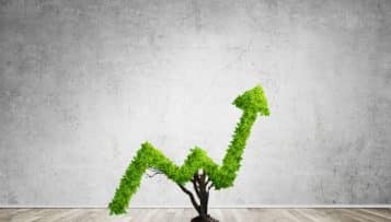 L'achat responsable, politique publique ou pratique à part entière ?