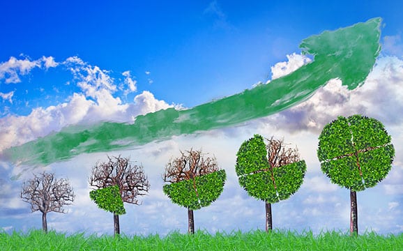 Comment faire respecter aux collectivités l’obligation d’adopter un schéma de promotion des achats publics responsables ?