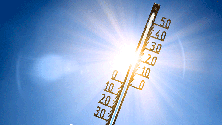 La canicule de cet été a eu un impact sanitaire modéré