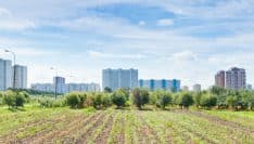 Exposition à Paris : la ville aussi peut devenir agricole