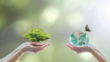 Le gouvernement prépare le 4e Plan national santé environnement